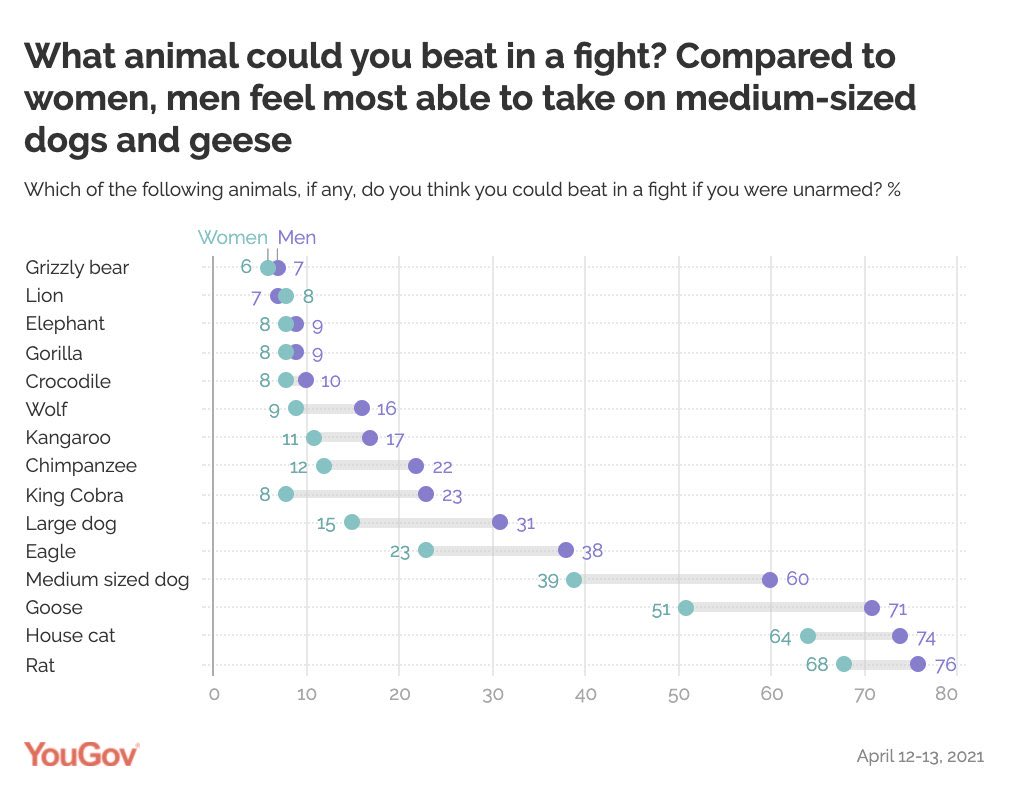 What animals could you beat in a fight?